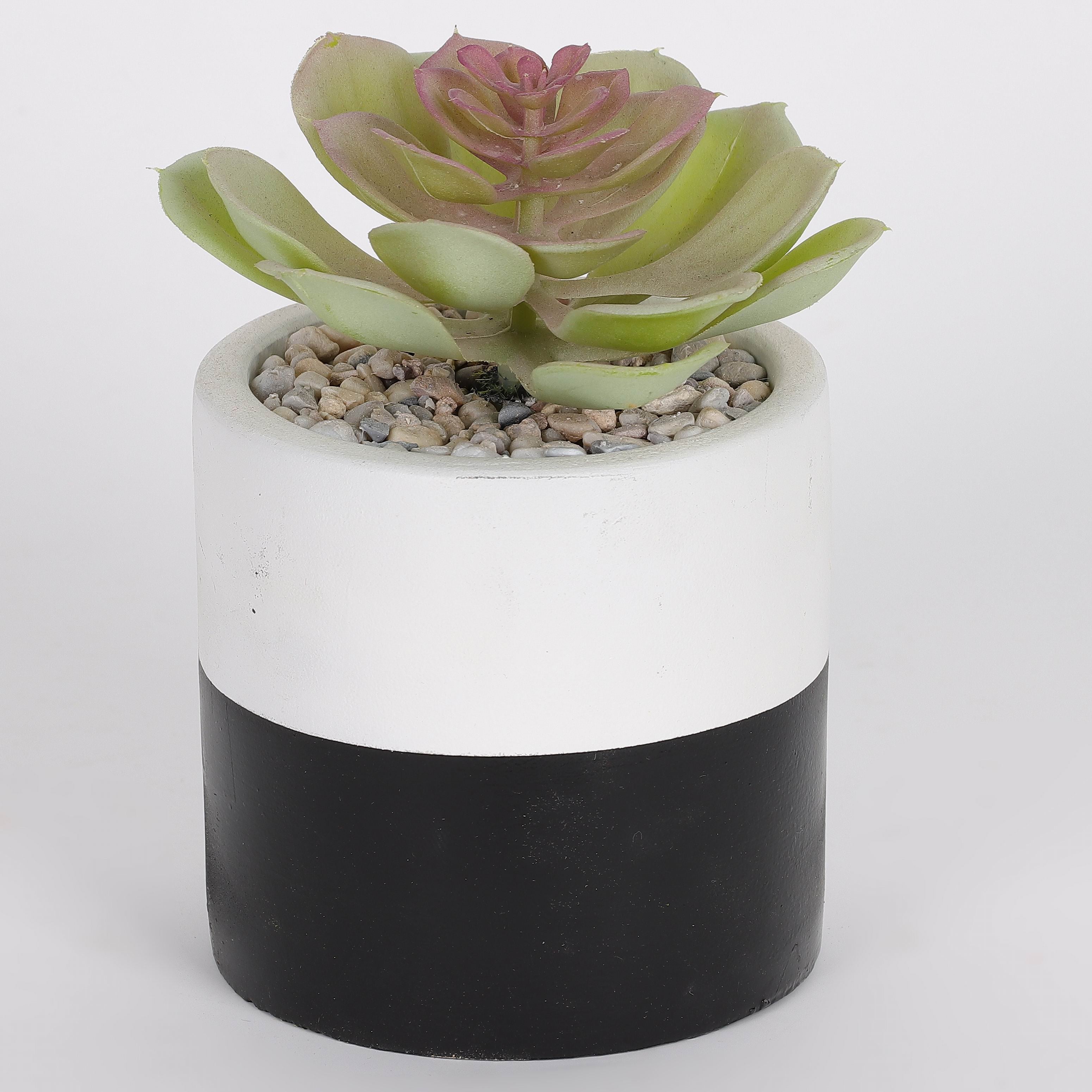 3.75 X 3.75 X 5.5"H ARTIFICIAL SUCCULENT DECOR