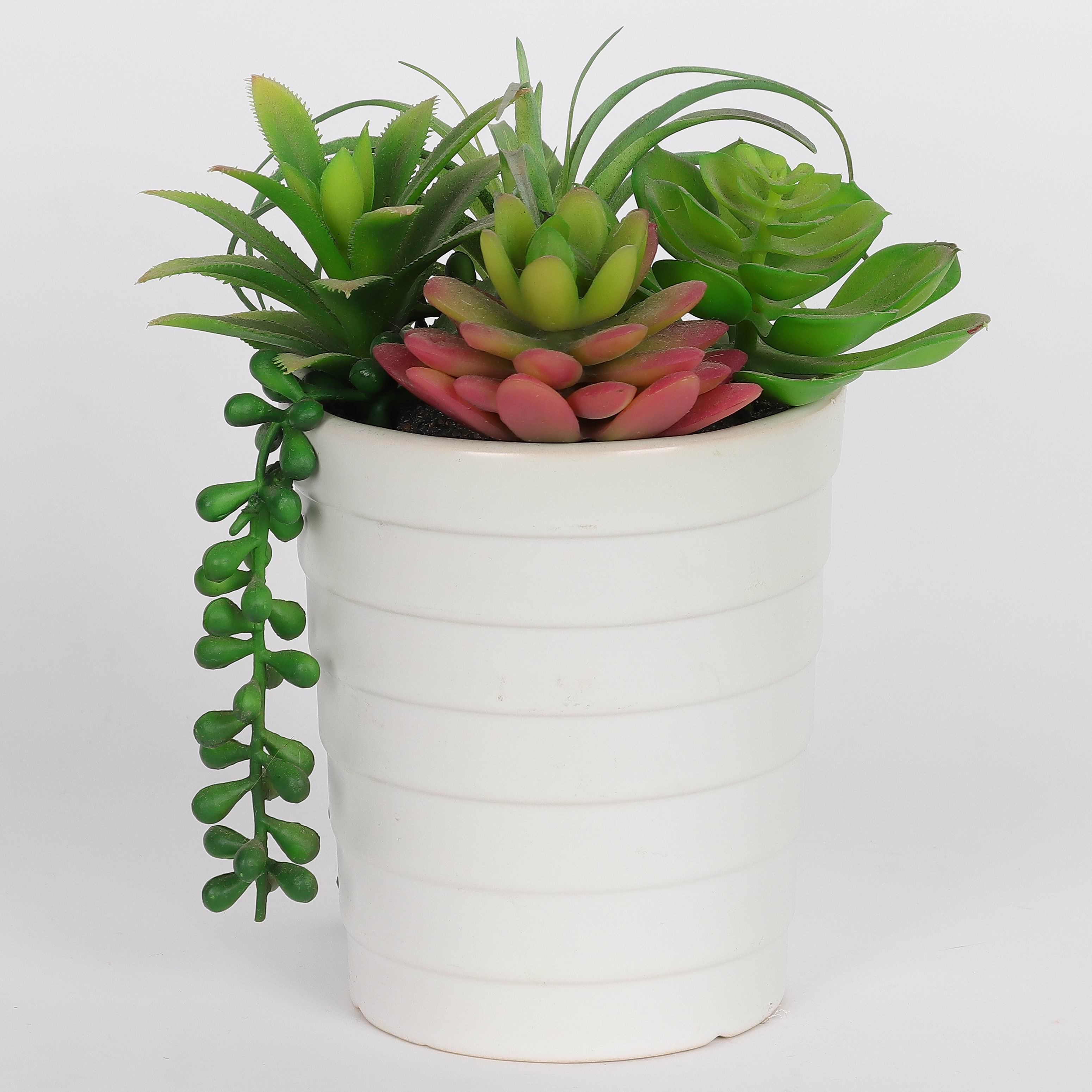 5 X 5 X 8"H ARTIFICIAL SUCCULENT DECOR