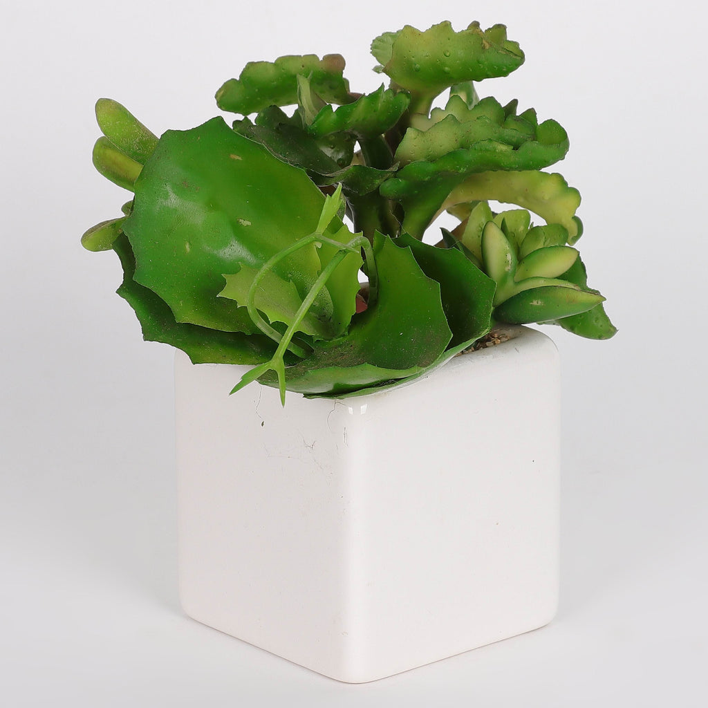 4 X 4 X 6.5"H ARTIFICIAL GREENERY DECOR