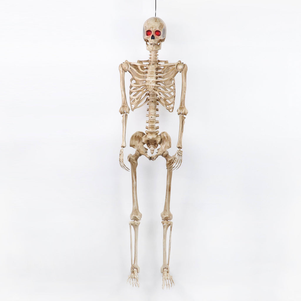 5FT Prelit Skeleton