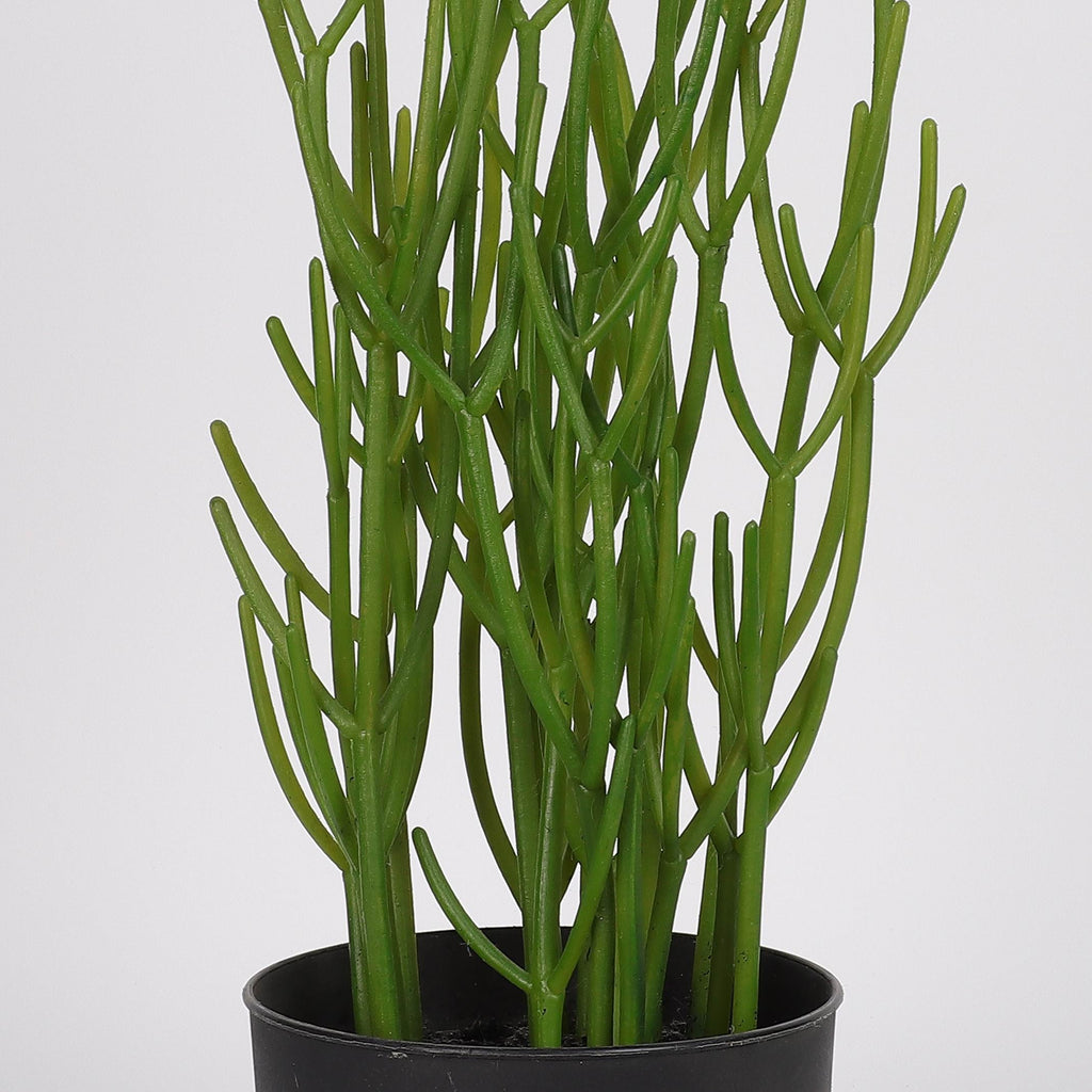 5 X 5 X 14"H ARTIFICIAL GREENERY DECOR