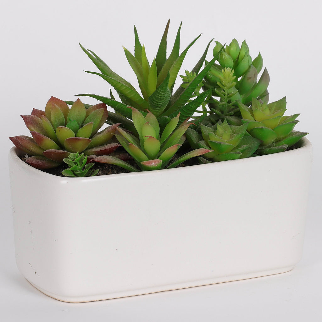 7 X 3 X 5.5"H ARTIFICIAL SUCCULENT DECOR