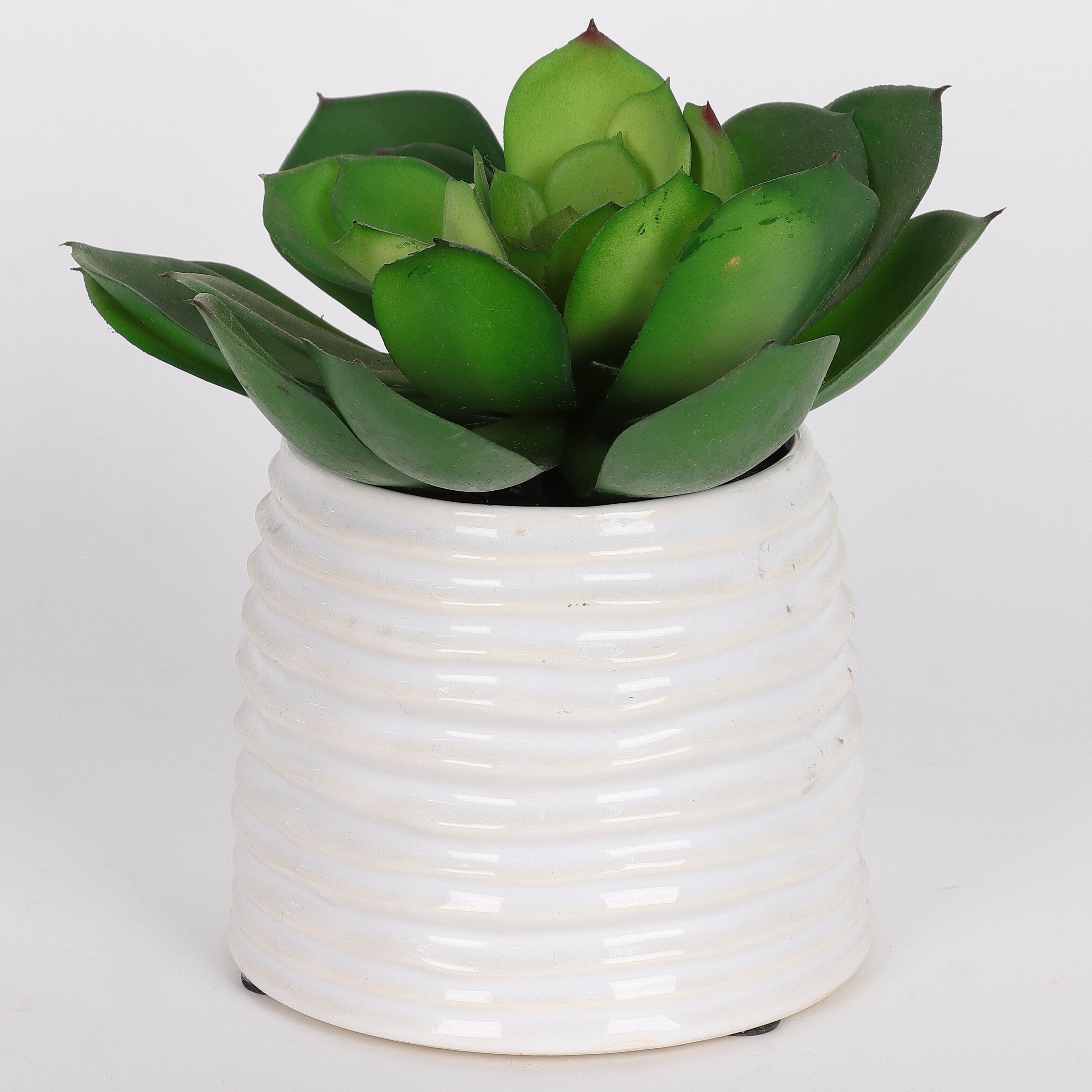 7 X 7 X 7.5"H ARTIFICIAL SUCCULENT DECOR