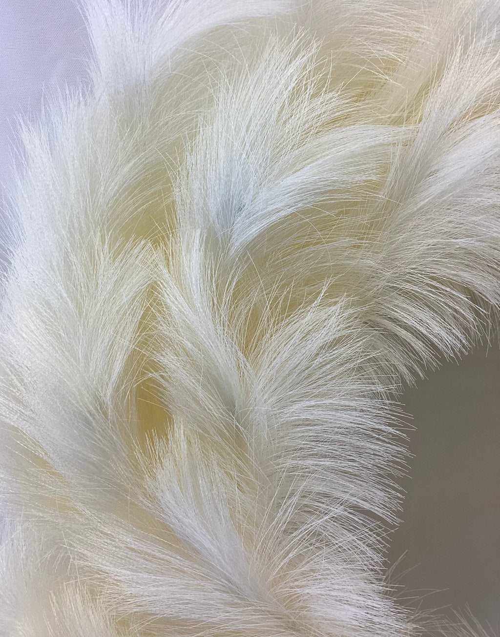22inch Dia Pampas Wreath